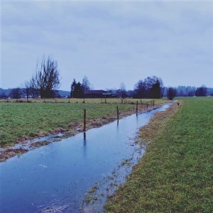 Einsatz 03.01.2020 - Hochwasser