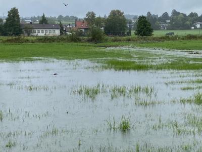 Hochwasser