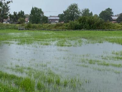 Hochwasser