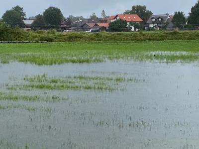 Hochwasser