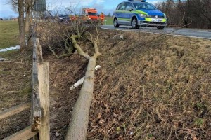 Einsatz 13.02.2020 - Baum auf Auto - B2