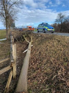 Einsatz 13.02.2020 - Baum auf Auto - B2