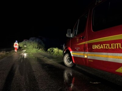 Einsatz 13.02.2020 - Baum auf Straße