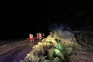 Einsatz 13.02.2020 - Baum auf Straße