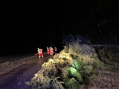 Einsatz 13.02.2020 - Baum auf Straße