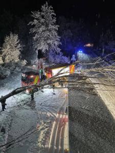 635126854_1205190278467592_2173729201644461925_n