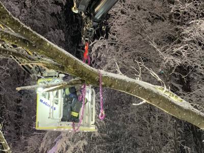 637238420_1205157491804204_3787830742801606437_n