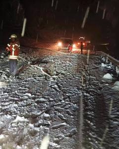 637813579_1205054858481134_8144430821518857113_n