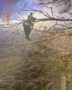 638428630_1205054855147801_7625907877962404630_n