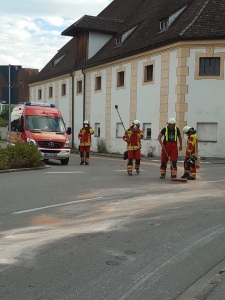 EINSATZ 25.06.2020 - ÖLSPUR