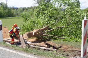 Einsatz 30.04.2020 - Verkehrsunfall