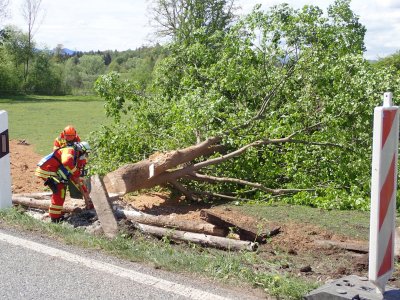 Einsatz 30.04.2020 - Verkehrsunfall