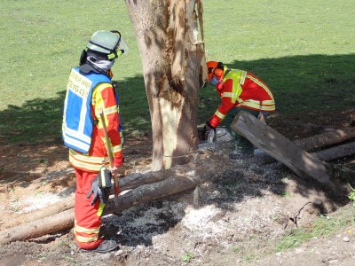 Einsatz 30.04.2020 - Verkehrsunfall