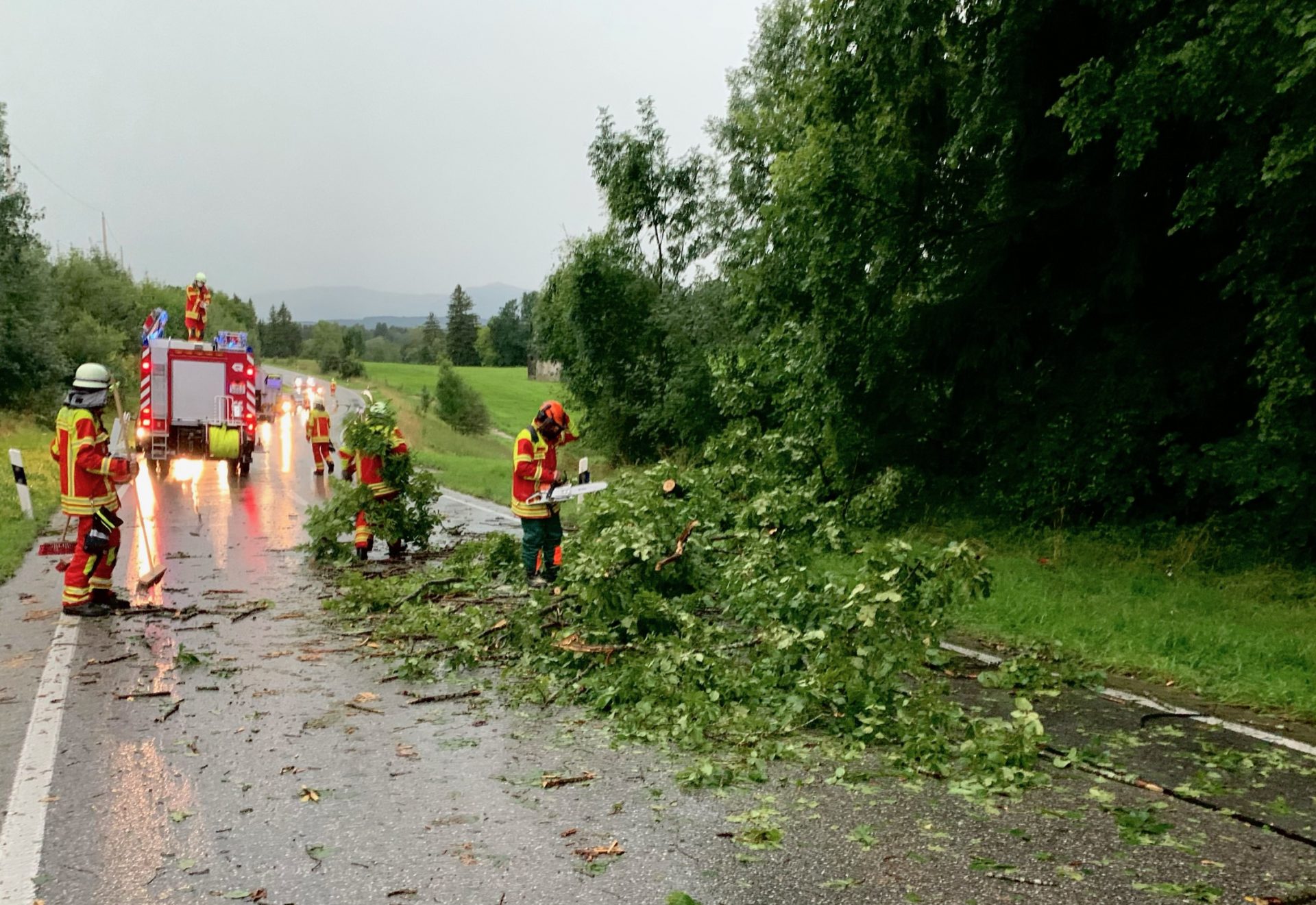 Einsatz 30.07.2021 – Baum auf PKW