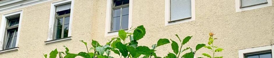 Einsatz 09.07.2025 – Tierrettung