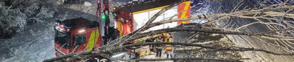 Einsatz 20.02.26 – Baum auf LKW