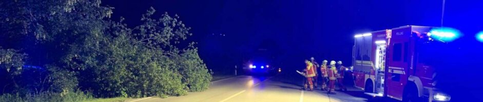 Einsatz 07.06.2026 – Baum auf Fahrbahn